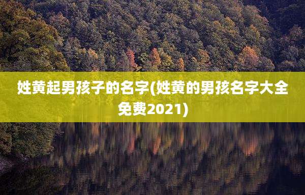 姓黄起男孩子的名字(姓黄的男孩名字大全免费2021)