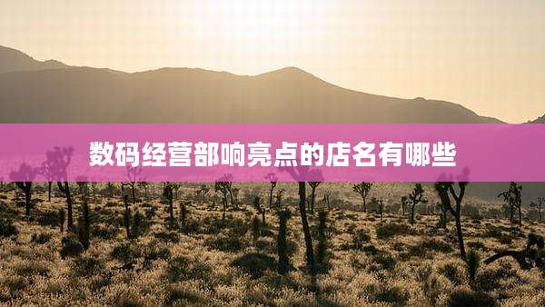 数码经营部响亮点的店名有哪些