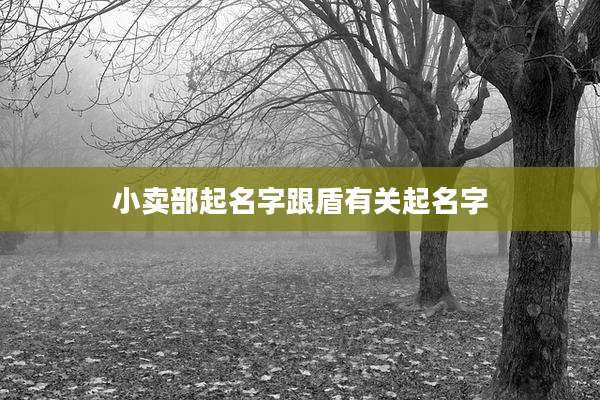 小卖部起名字跟盾有关起名字