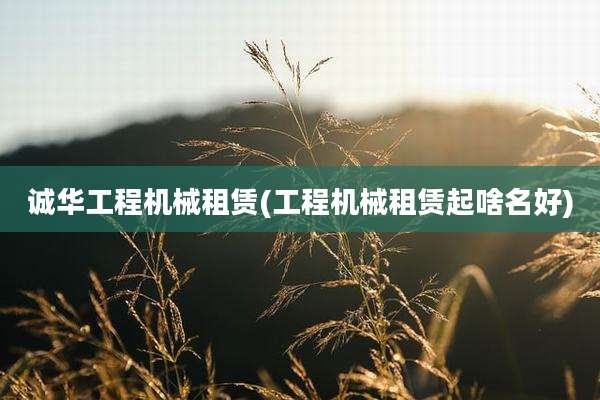诚华工程机械租赁(工程机械租赁起啥名好)