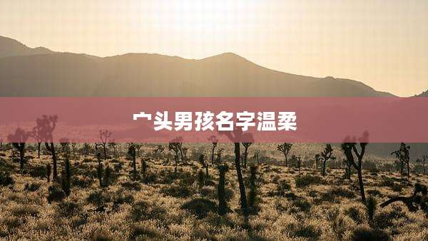 宀头男孩名字温柔