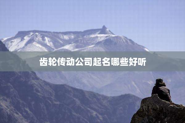齿轮传动公司起名哪些好听