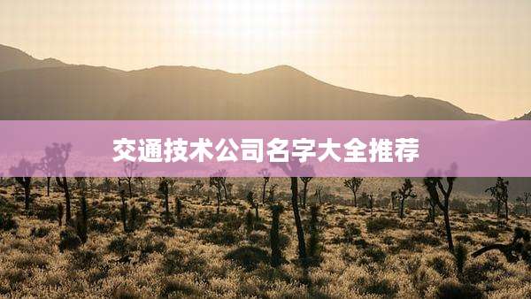 交通技术公司名字大全推荐