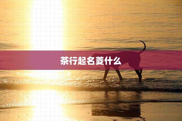 茶行起名菱什么