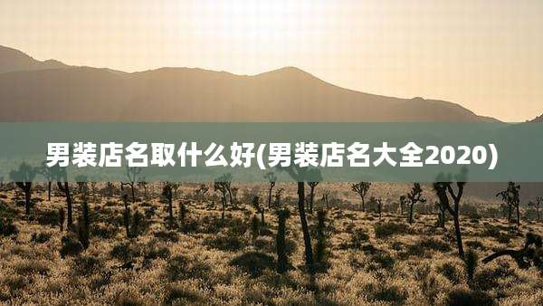 男装店名取什么好(男装店名大全2020)