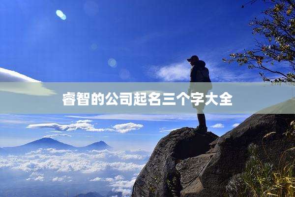 睿智的公司起名三个字大全