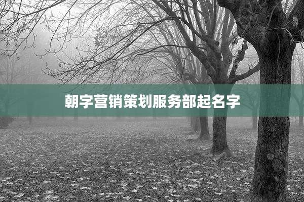 朝字营销策划服务部起名字