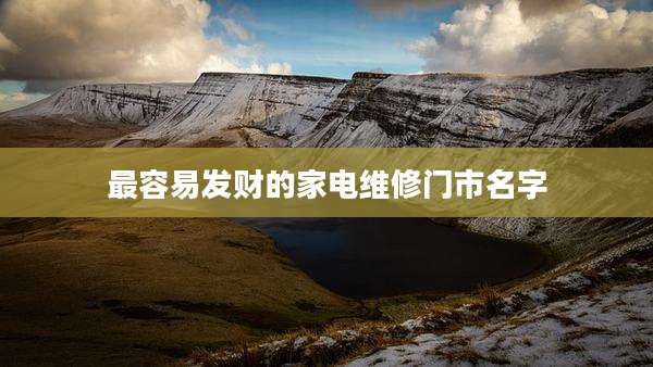最容易发财的家电维修门市名字