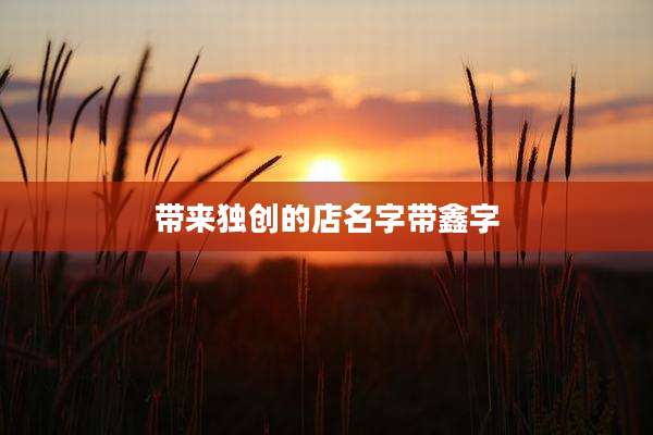 带来独创的店名字带鑫字