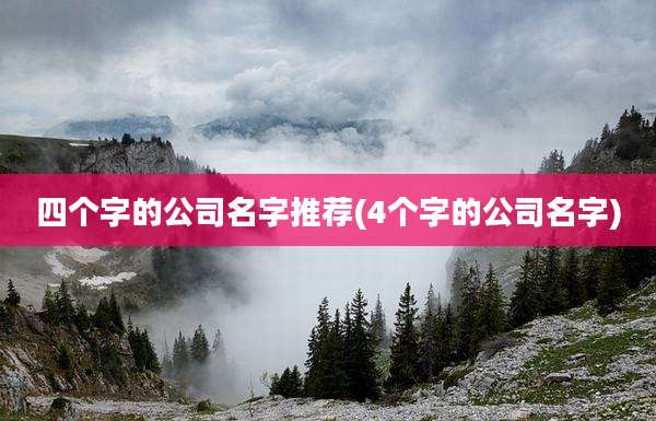 四个字的公司名字推荐(4个字的公司名字)