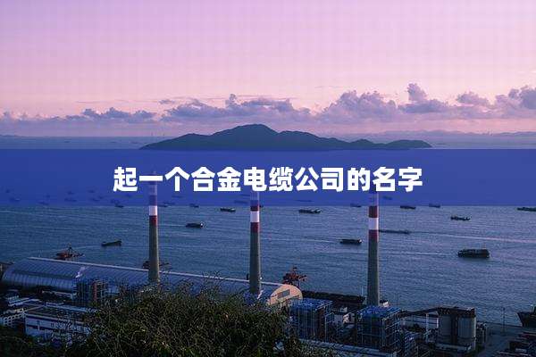 起一个合金电缆公司的名字