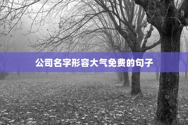 公司名字形容大气免费的句子