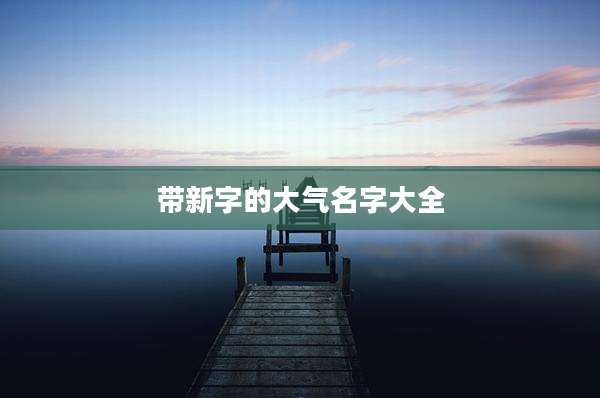 带新字的大气名字大全