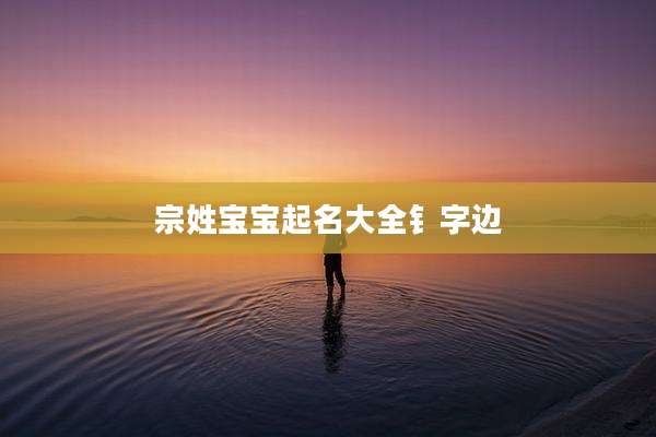 宗姓宝宝起名大全钅字边