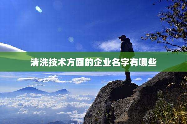 清洗技术方面的企业名字有哪些