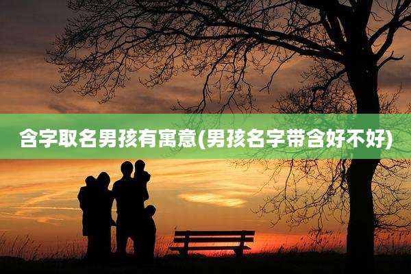 含字取名男孩有寓意(男孩名字带含好不好)