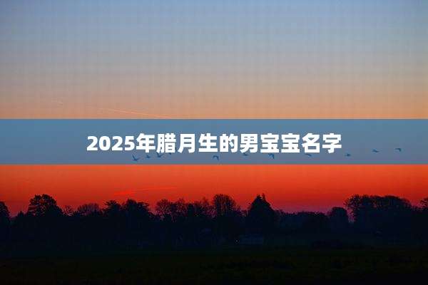 2025年腊月生的男宝宝名字