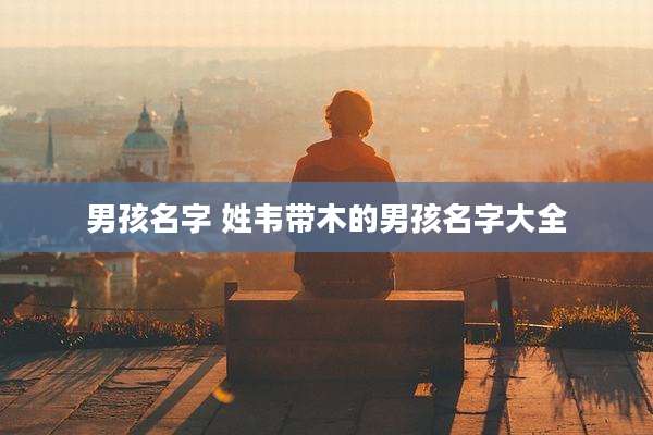 男孩名字 姓韦带木的男孩名字大全