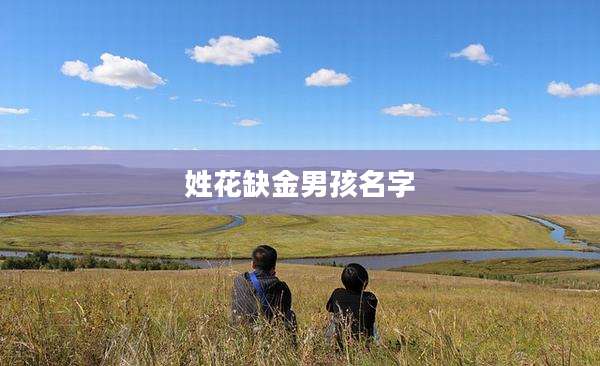 姓花缺金男孩名字