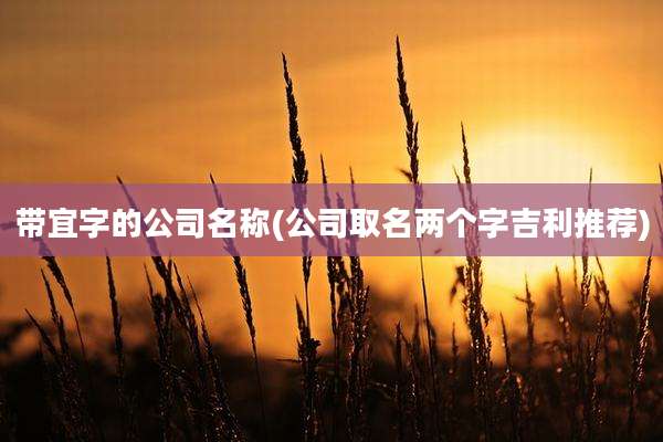 带宜字的公司名称(公司取名两个字吉利推荐)
