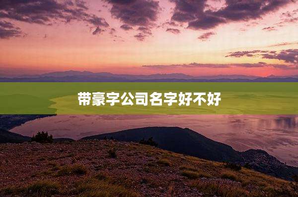 带豪字公司名字好不好