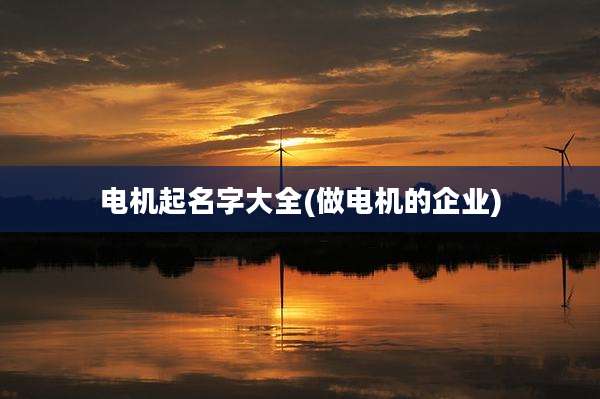 电机起名字大全(做电机的企业)