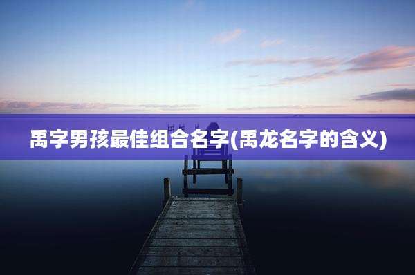 禹字男孩最佳组合名字(禹龙名字的含义)