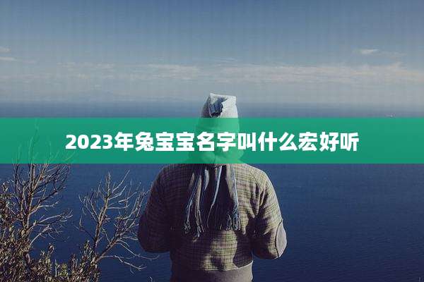 2023年兔宝宝名字叫什么宏好听