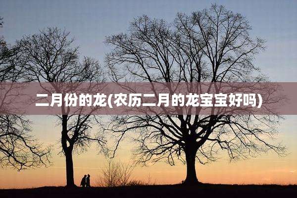 二月份的龙(农历二月的龙宝宝好吗)