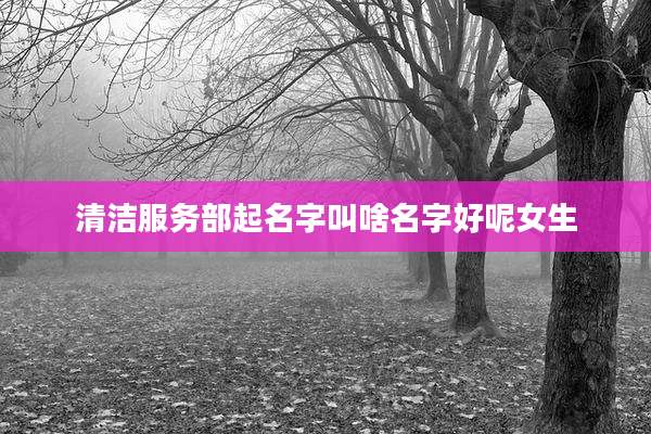 清洁服务部起名字叫啥名字好呢女生