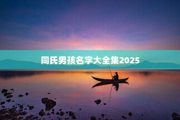 同氏男孩名字大全集2025