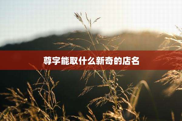 尊字能取什么新奇的店名