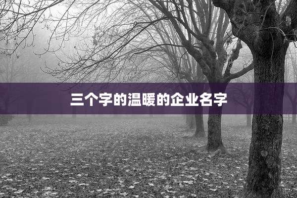 三个字的温暖的企业名字