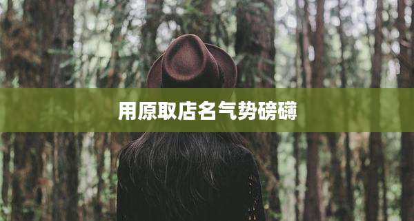 用原取店名气势磅礴