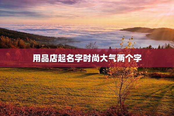 用品店起名字时尚大气两个字