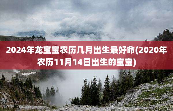 2024年龙宝宝农历几月出生最好命(2020年农历11月14日出生的宝宝)