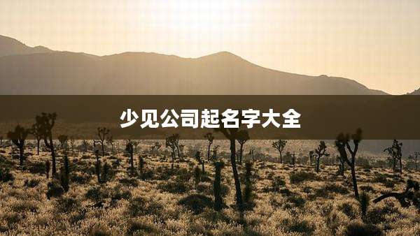 少见公司起名字大全