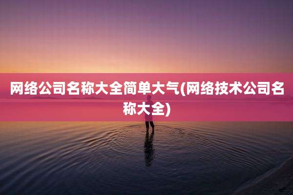网络公司名称大全简单大气(网络技术公司名称大全)