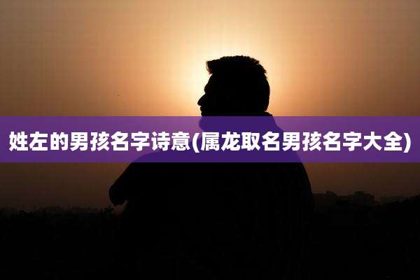 姓左的男孩名字诗意(属龙取名男孩名字大全)