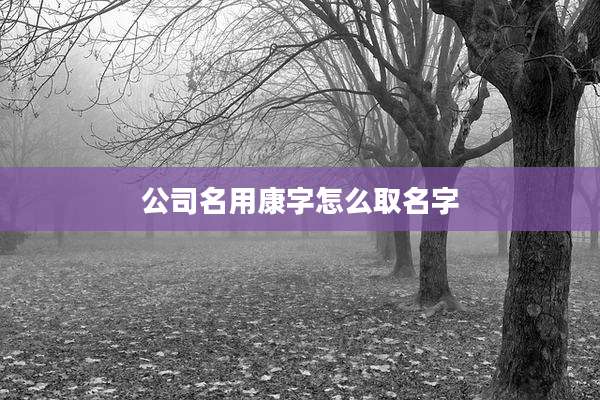 公司名用康字怎么取名字