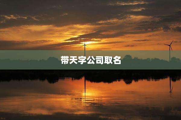 带天字公司取名
