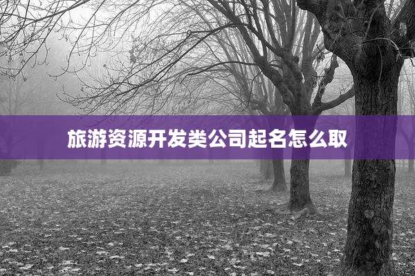 旅游资源开发类公司起名怎么取