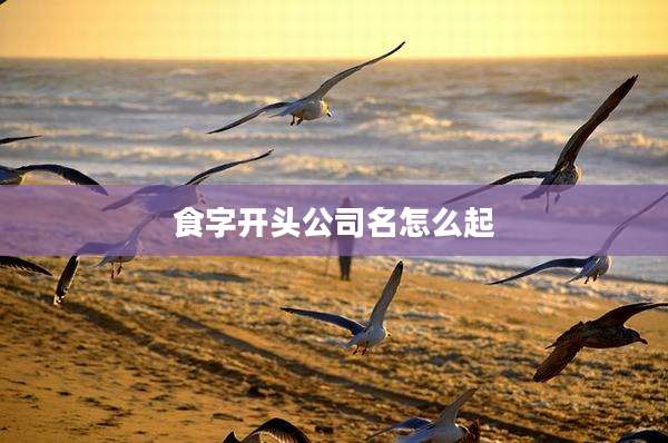 食字开头公司名怎么起