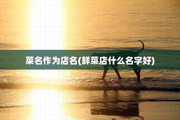 菜名作为店名(鲜菜店什么名字好)