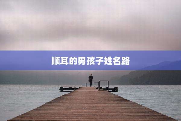 顺耳的男孩子姓名路