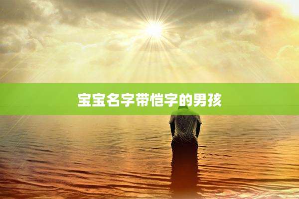 宝宝名字带恺字的男孩