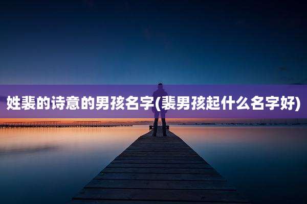 姓裴的诗意的男孩名字(裴男孩起什么名字好)