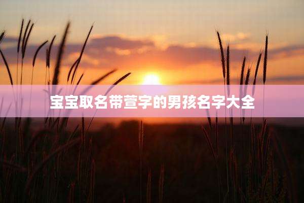 宝宝取名带萱字的男孩名字大全