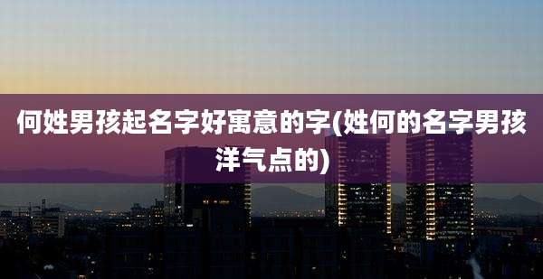 何姓男孩起名字好寓意的字(姓何的名字男孩洋气点的)