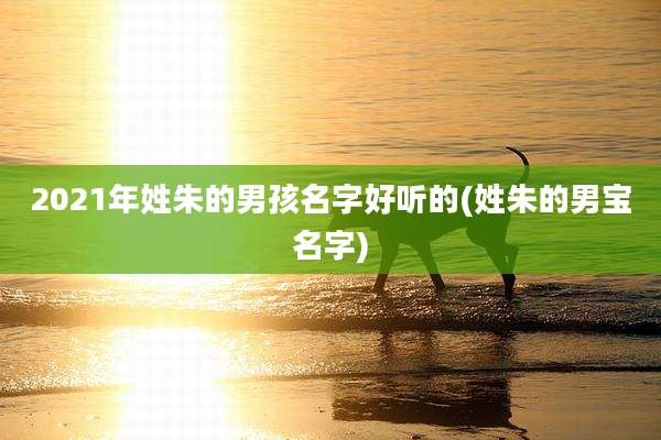 2021年姓朱的男孩名字好听的(姓朱的男宝名字)
